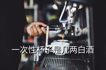 一次性杯子是几两白酒