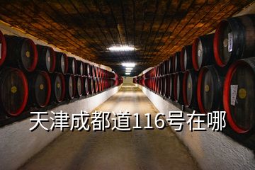 天津成都道116号在哪