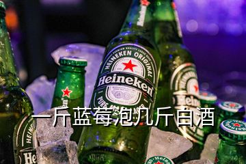 一斤蓝莓泡几斤白酒