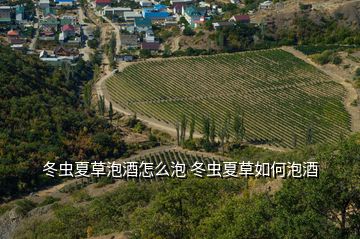 冬虫夏草泡酒怎么泡 冬虫夏草如何泡酒