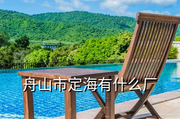 舟山市定海有什么厂