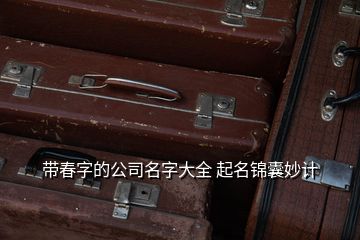 带春字的公司名字大全 起名锦囊妙计