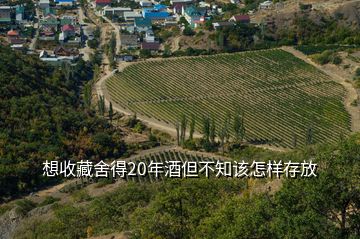 想收藏舍得20年酒但不知该怎样存放