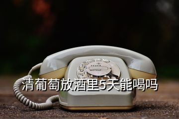 清葡萄放酒里5天能喝吗