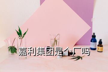 嘉利集团是个厂吗