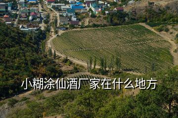 小糊涂仙酒厂家在什么地方