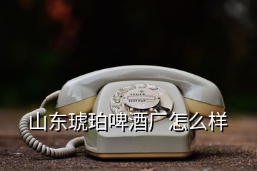 山东琥珀啤酒厂怎么样