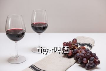 tiger啤酒