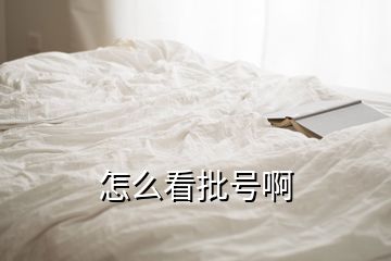 怎么看批号啊