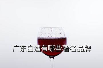 广东白酒有哪些著名品牌