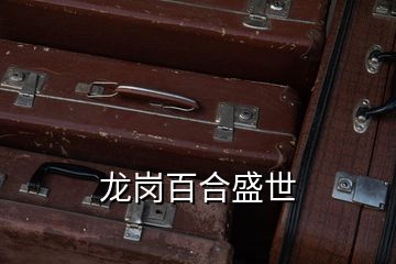 龙岗百合盛世