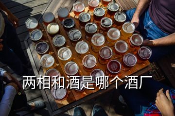 两相和酒是哪个酒厂