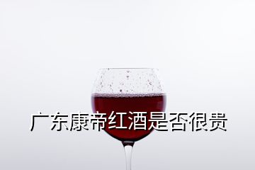 广东康帝红酒是否很贵