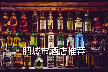 肥城市酒店推荐