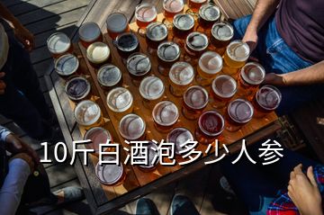 10斤白酒泡多少人参