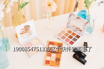 1900854751339这个快件到那里了