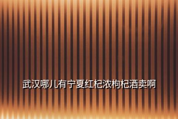 武汉哪儿有宁夏红杞浓枸杞酒卖啊