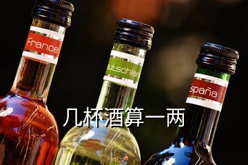 几杯酒算一两