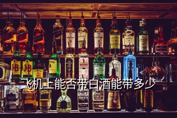 飞机上能否带白酒能带多少