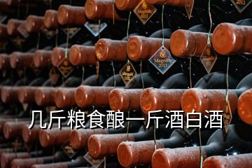 几斤粮食酿一斤酒白酒