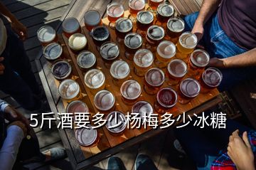 5斤酒要多少杨梅多少冰糖