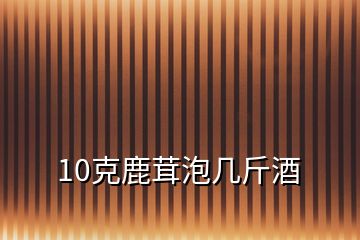 10克鹿茸泡几斤酒