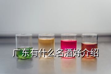 广东有什么名酒好介绍