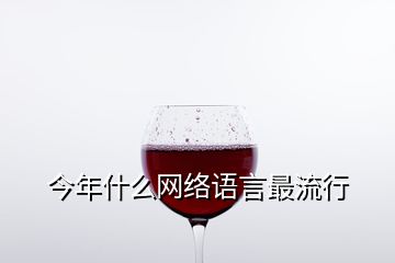 今年什么网络语言最流行