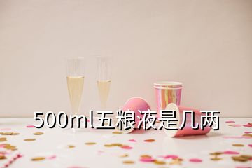 500ml五粮液是几两