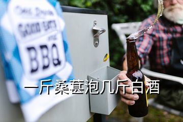 一斤桑葚泡几斤白酒