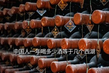 中国人一年喝多少酒等于几个西湖