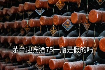 茅台迎宾酒75一瓶是假的吗