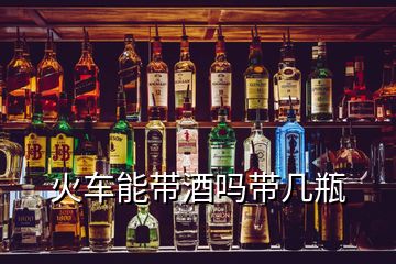 火车能带酒吗带几瓶