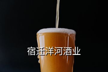 宿迁洋河酒业