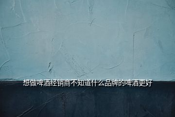 想做啤酒经销商不知道什么品牌的啤酒更好