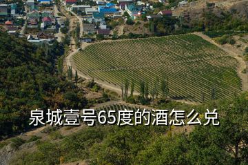 泉城壹号65度的酒怎么兑