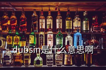 dubsin是什么意思啊