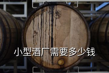 小型酒厂需要多少钱