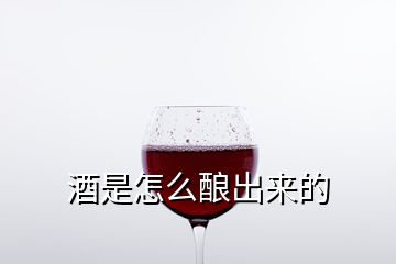 酒是怎么酿出来的