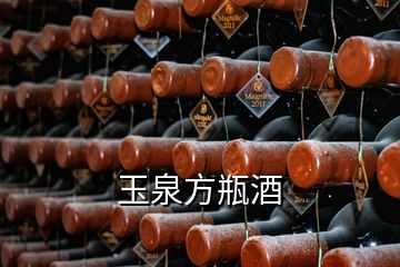 玉泉方瓶酒