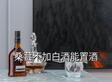 桑葚不加白酒能置酒