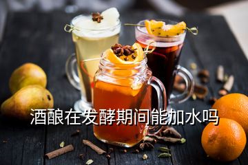 酒酿在发酵期间能加水吗