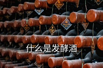 什么是发酵酒