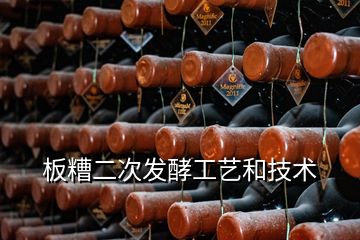 板糟二次发酵工艺和技术