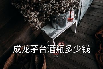 成龙茅台酒瓶多少钱