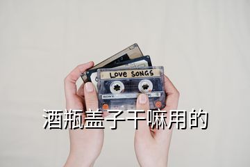 酒瓶盖子干嘛用的