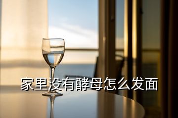 家里没有酵母怎么发面