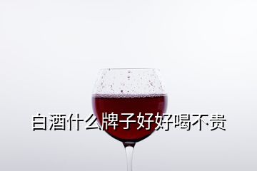 白酒什么牌子好好喝不贵