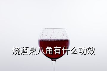 烧酒烹八角有什么功效