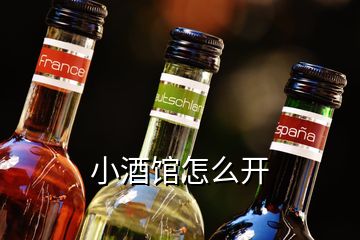 小酒馆怎么开